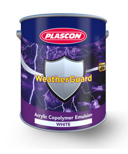 Plascon Special WeatherGuard Silicone