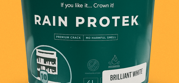 Protect Your Home from Rain Damage: Why Crown Rain Protek is a Smart Choice Crown Rain Protek waterproofing paint protecting exterior walls from rain and dampness