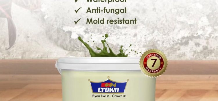 Crown Damp Protek Kenya anti-damp wall solution for mould, mildew and moisture protection