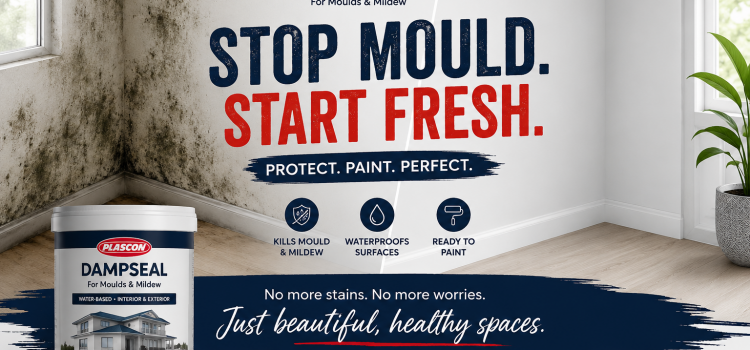 Plascon Dampseal Kenya anti-damp wall treatment for moisture, mould, mildew and peeling paint protection